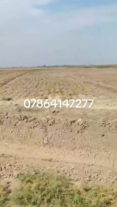 أرض • بدون تفاصيل