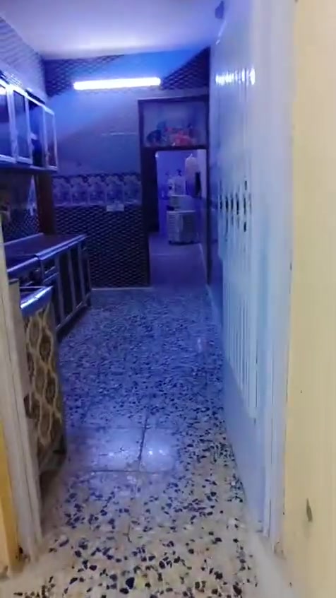 بيت • ١٠٥٠م • للبيع
