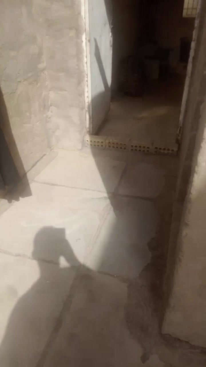 الاورفلي • مقابل صورة الصدرين • واجهة ٤