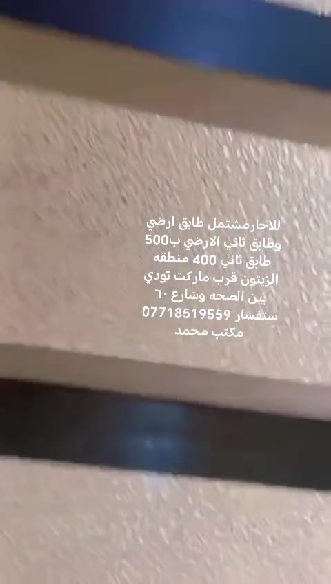 مشتمل • دورين • الزيتون