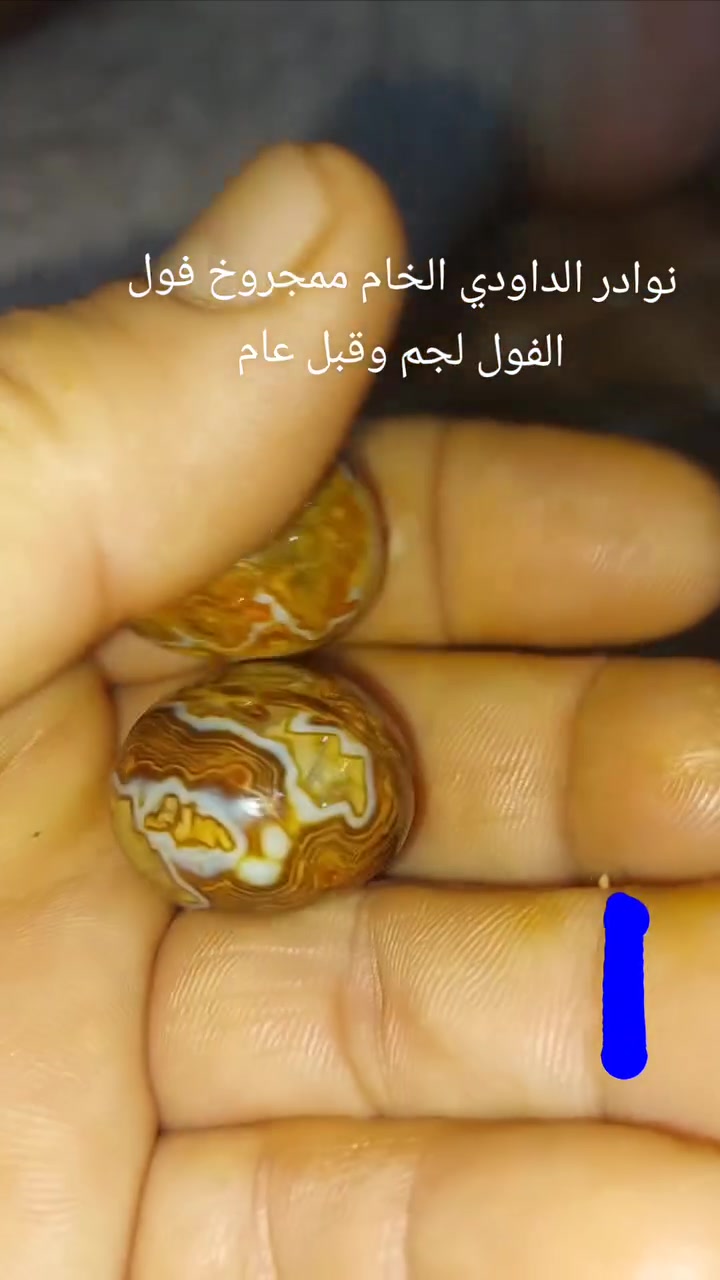 #يا #الله نوادر الداودي الخام ممجروخ خرزتين نثيه وفحل هنديات 
فوول الفول مروحنات وجهزات حسب القواعد الروحانيه الخاصه بالحجار الروحانيه والطاقه  مال مزامط  لجم وقبل عام  جاه وجه تسهيلات عامه حب وقبول عام  داخل الرقم وللاستفسار السماوه يوجد توصيل  ملك الاحجارالمروحنه والطاقه باذن الله🤟🤟🤟🤟🤟  ينختمن مع طلسم  وخادم الكم *********** ☎️📞👑👉🤘

 منكل نسائي رجالي فوول الفول  

مختصون ومتمكنون بجميع الاحجار الربانيه والاحجار المروحنه والطاقه باذن الله🤟🤟🤟🤟🤟 

🤙#مختص بعلم الاحجار المروحنه وطاقه  100 بل 100 و✌️مختص

ومعالج جميع السحر والتوابع الخصه بامور الروحانيه بفظل الله والقران الكريم ومحمد وال محمد. يوجد
