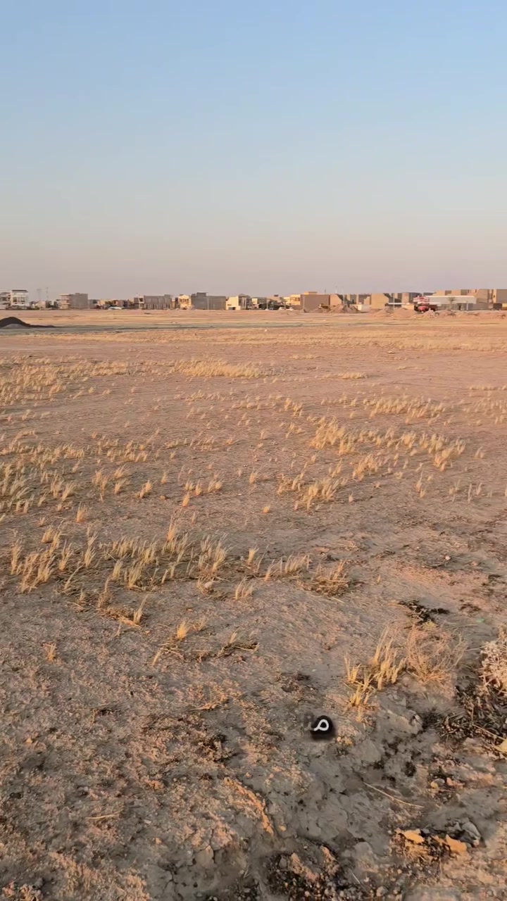 السلام عليكم
قطعه للبيع الديوم حي الكهرباء 
المساحه ١٥٠م 
الوجه ٧ونص النزال ٢٠م 
بلبدايه قريبه ع شارع ٦٠
اللستفسار الاتصال ***********
