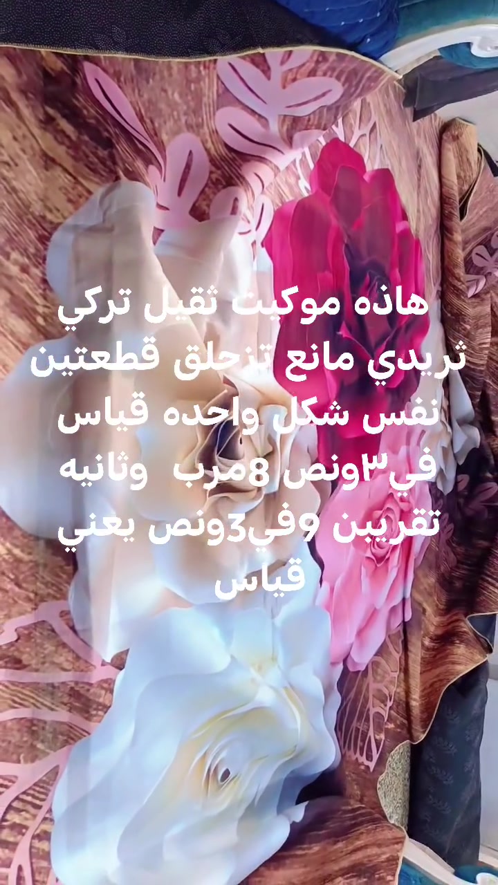 موكيت تركي • ١٠٨م • ظهر جيلاتيني