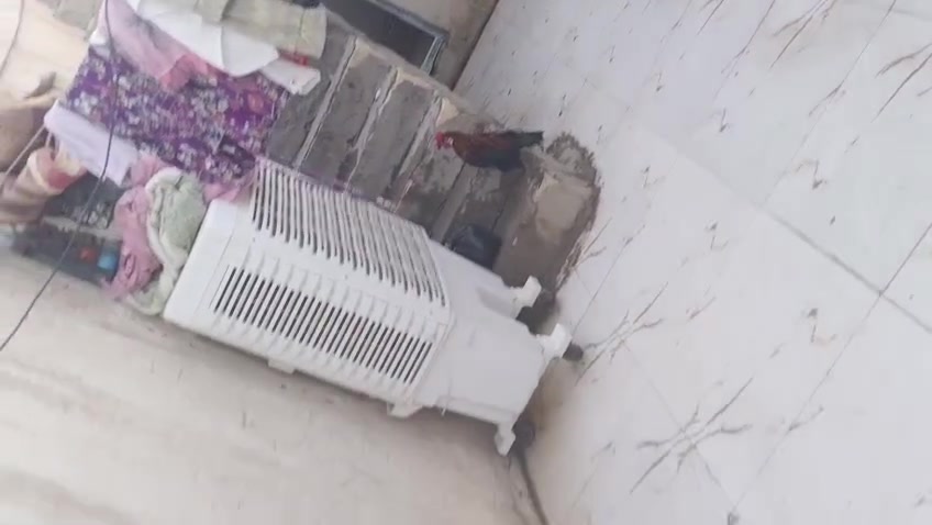 بيت البيع حواسم عكاده وسراميك عالي ونظيف مامعوظ منطقه الدبيسات سايدين كراج بغداد اتصل ***********
