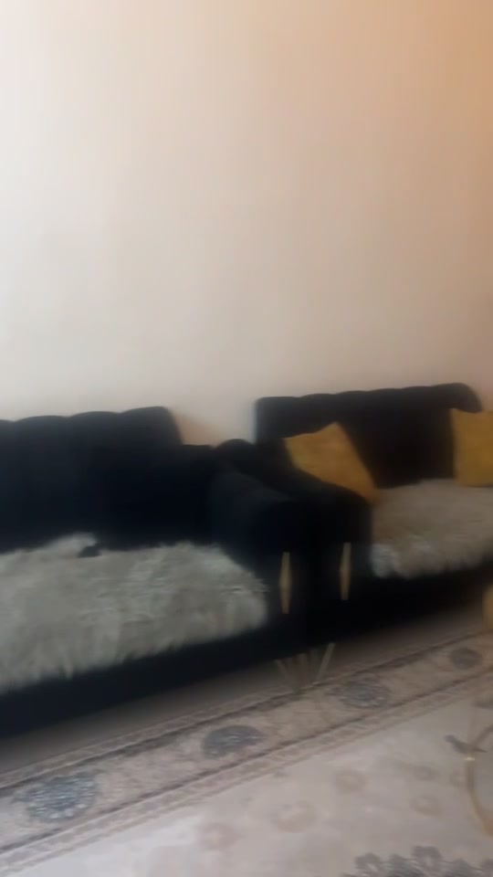 تخم تفصال عشر مقاعد نظيف جدا  بعد بس قطعه ام النفرين  ٤٥٠ الف 