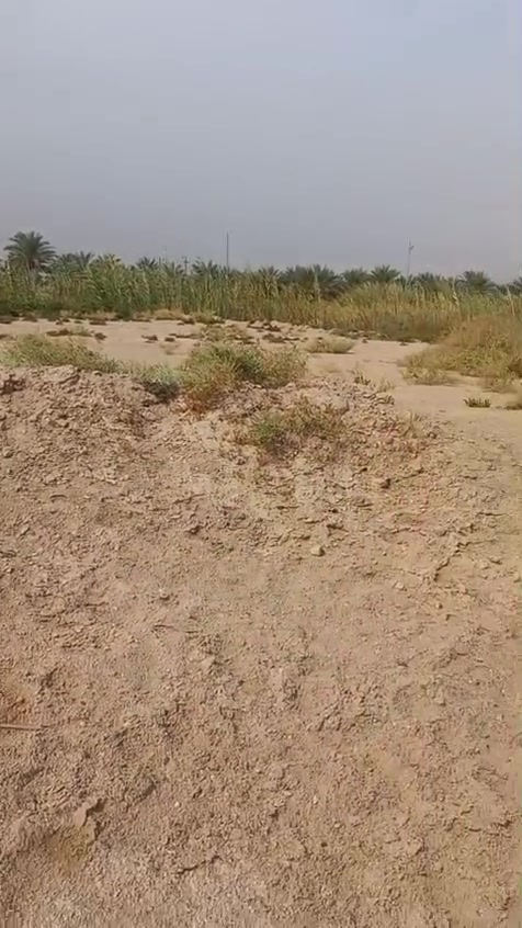 أرض مدفونة • طابو زراعي • البعكاش