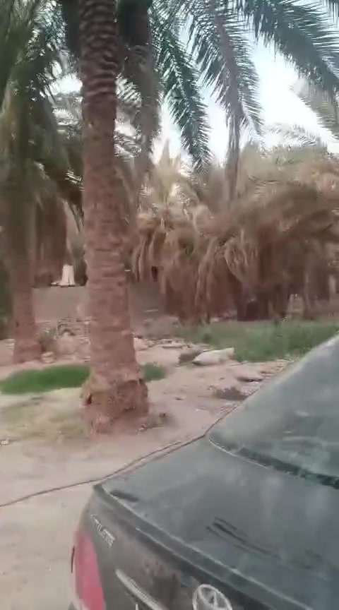 نص دونم حي الأسرة نهاية شارع السايدين مستشفى القديم تبعد عن التبليط 800 متر متوفر ماء كهرباء وجه الارض 42 نزال 28
***********
