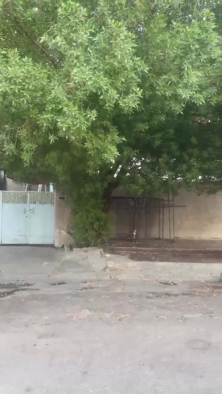 البيت للبيع بسعر مناسب
487 متر بيت بصف ركن 
العنوان بغداد شارع فلسطين قرب تقاطع صخره وقرب شارع تجاري
تفاصيل اكثر إتصال برقم 
***********
