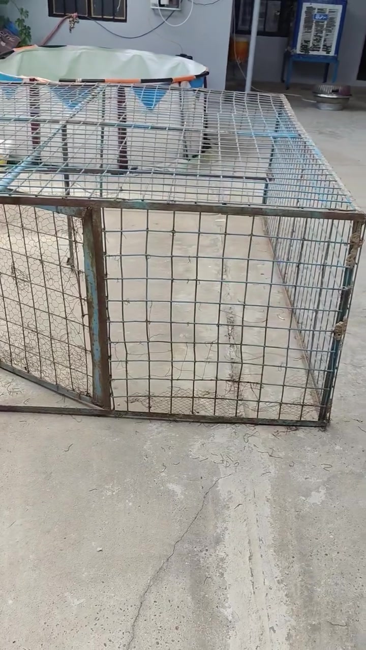 *********** واتساب
