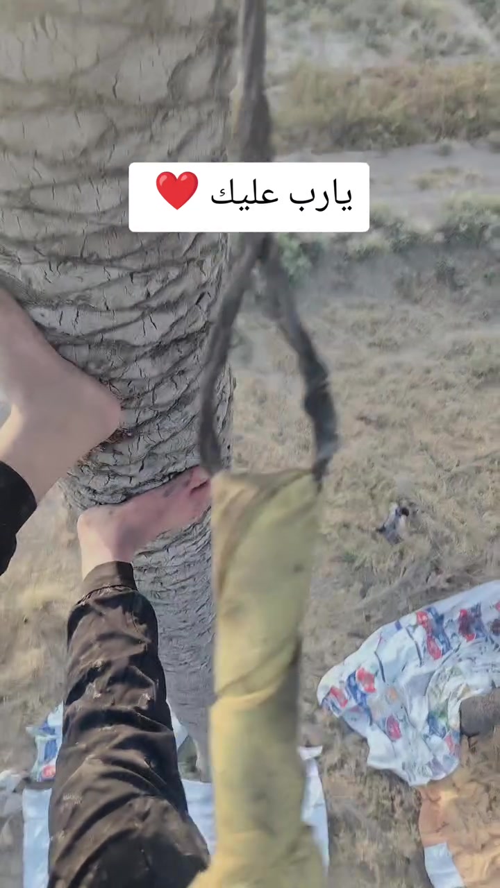 سلام عليكم الي يحتاج كاصوص نخل يتواصل وياي مكاني مشاهدة أهل الطارميه اصعد نخل عيط اذا عندك
***********
*********** 
سلام عليكم الي يحتاج كاصوص نخل يتواصل وياي مكاني مشاهدة أهل الطارميه اصعد نخل عيط اذا عندك
