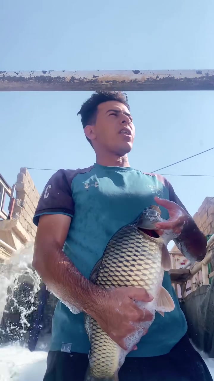 سوق الأسماك قرية العوسجه اسعار جوه السوق 
شغل سيارتك و تعال 
لايك و متابعه و تعليق و حياكم الله ❤️
***********
@إشارة
