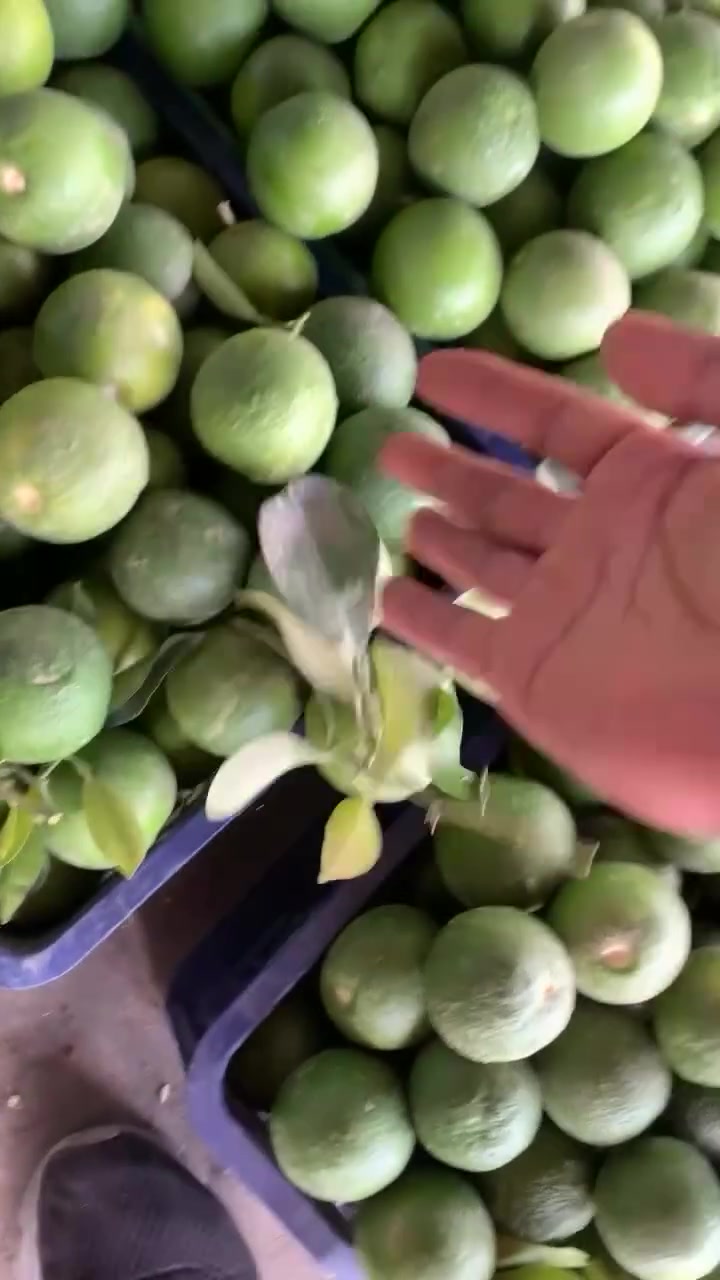 مسواك كامل • توصيل • بغداد