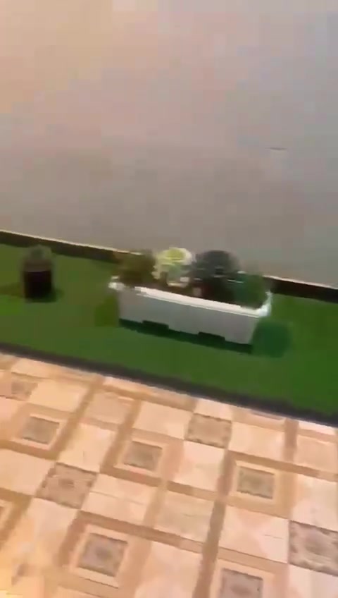 بيت للإيجار • مجمع تينا