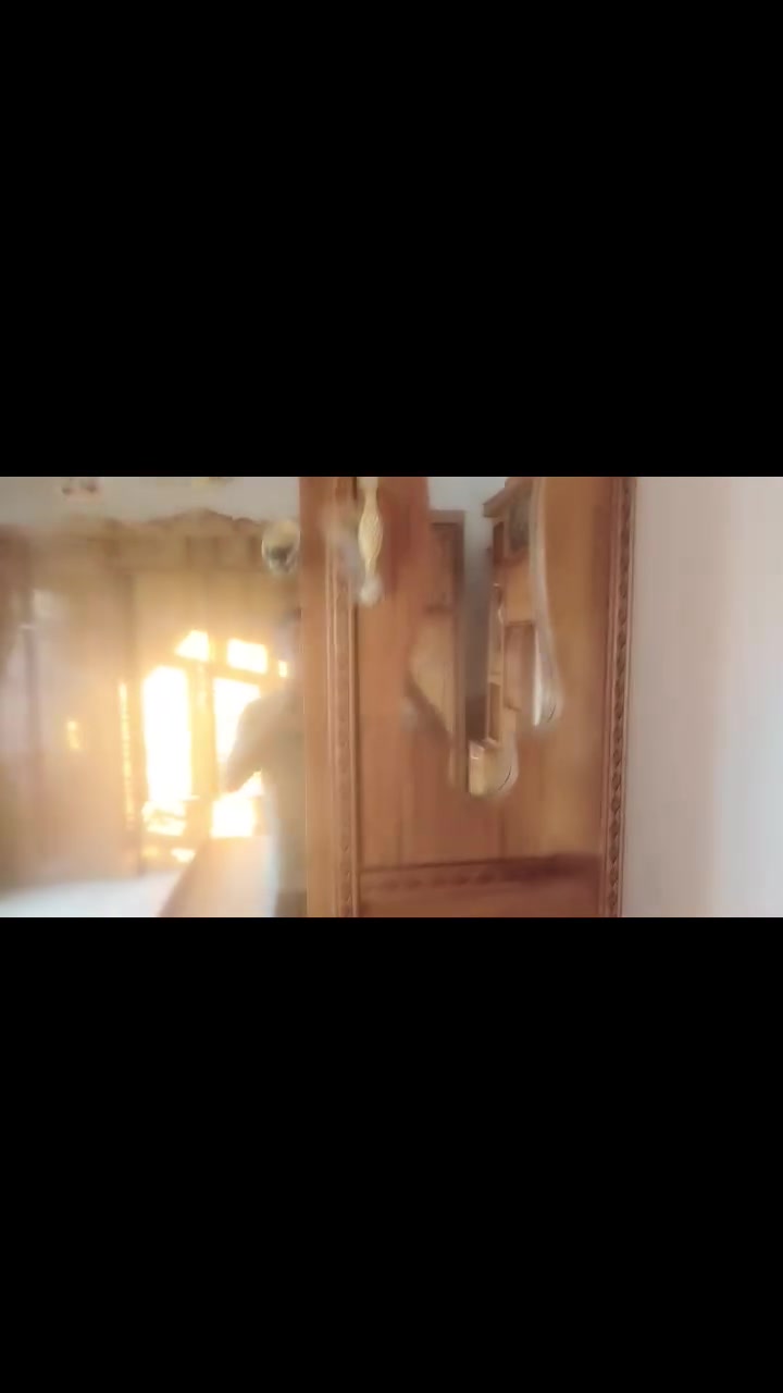 قرفت اخشاب للبيع جديده بعده مكانه فلوجه سعر 800 وبيه مجال ***********
