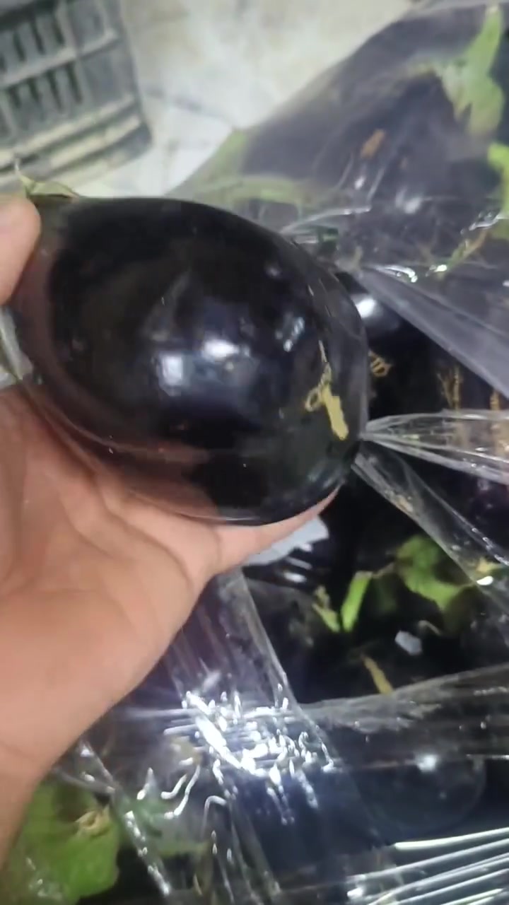 مسواك العافية • خضار وفواكه طازجة • توصيل سريع