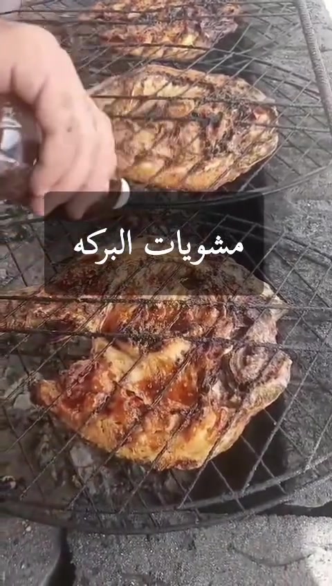 سمك عراقي • شوي بحطب • توصيل بسمايه