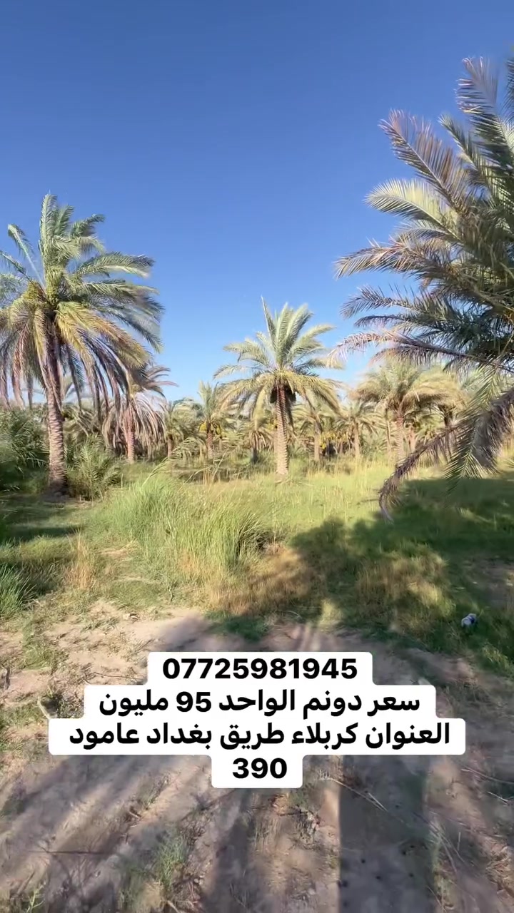 أرض • كربلاء • طريق بغداد