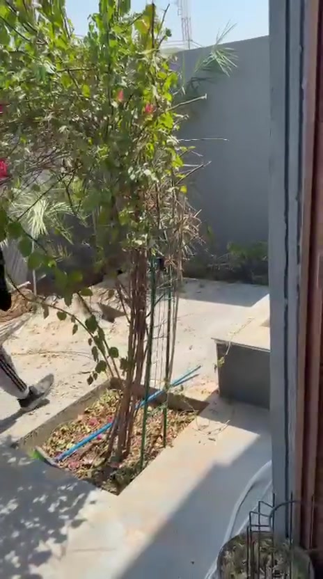 تنظيف حلاوه زراعه تنظيف نحل ***********
