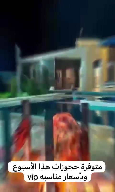 يعلن منتجع شروق الشمس الملكيVIP 
 عن تخفيض سعر الشفتات 
سارعو بالحجوزات 
***********
***********
