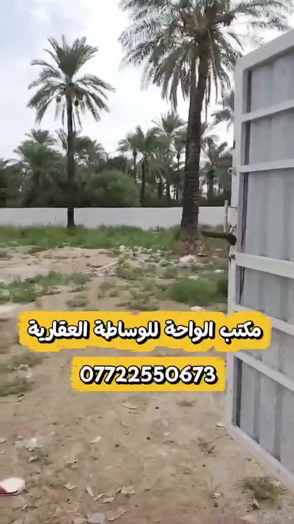 سند ٢٥ • ١١٢٠م • قرب جزيرة بغداد