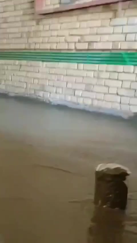 السلام عليكم شغل داخل البصره حلو ومرتب صب نظافه
للحجز والاستفسار اتصل ع هاذ الرقم ***********
