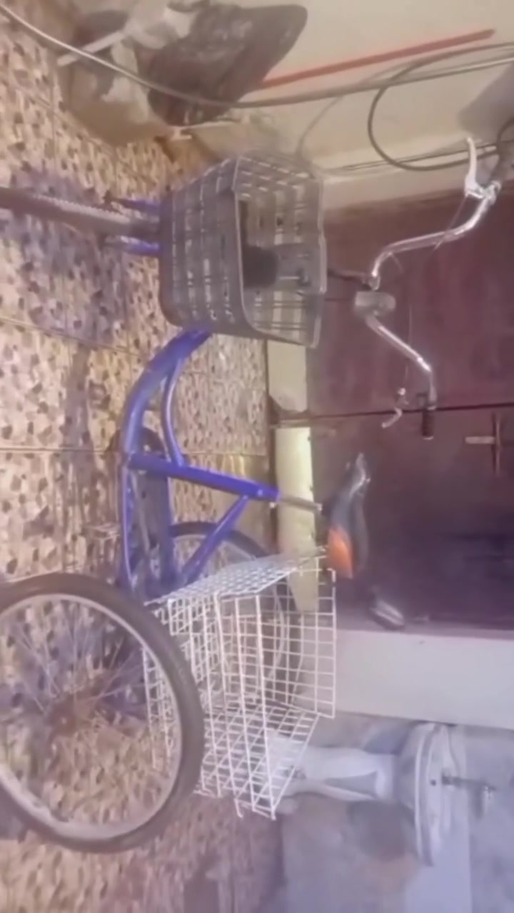 بايسكل • نظيف • حجم ٢٦