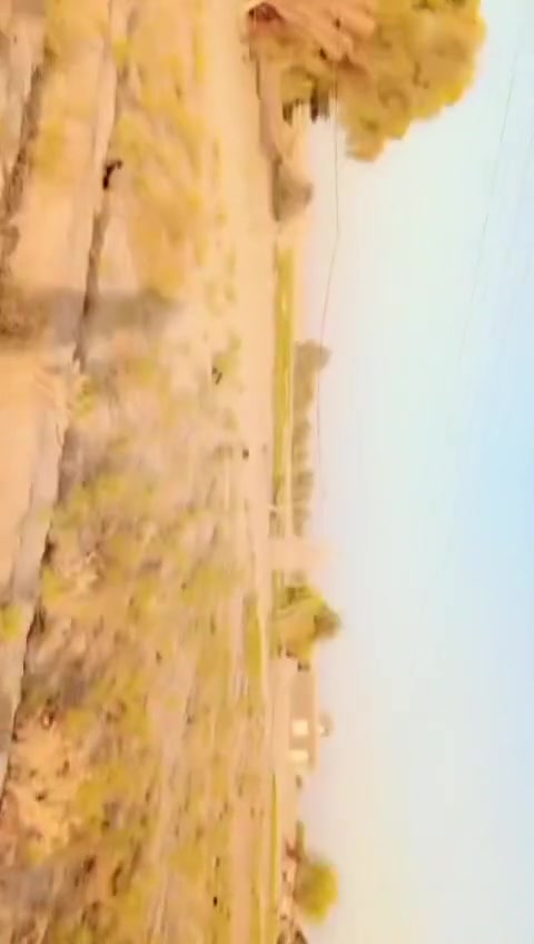 7 دوانم  واربع  بيوت بيه. مي  اساله.وكهرباء. الشارع  يبعد  200.متر   مكانه الشحيميه   //***********
