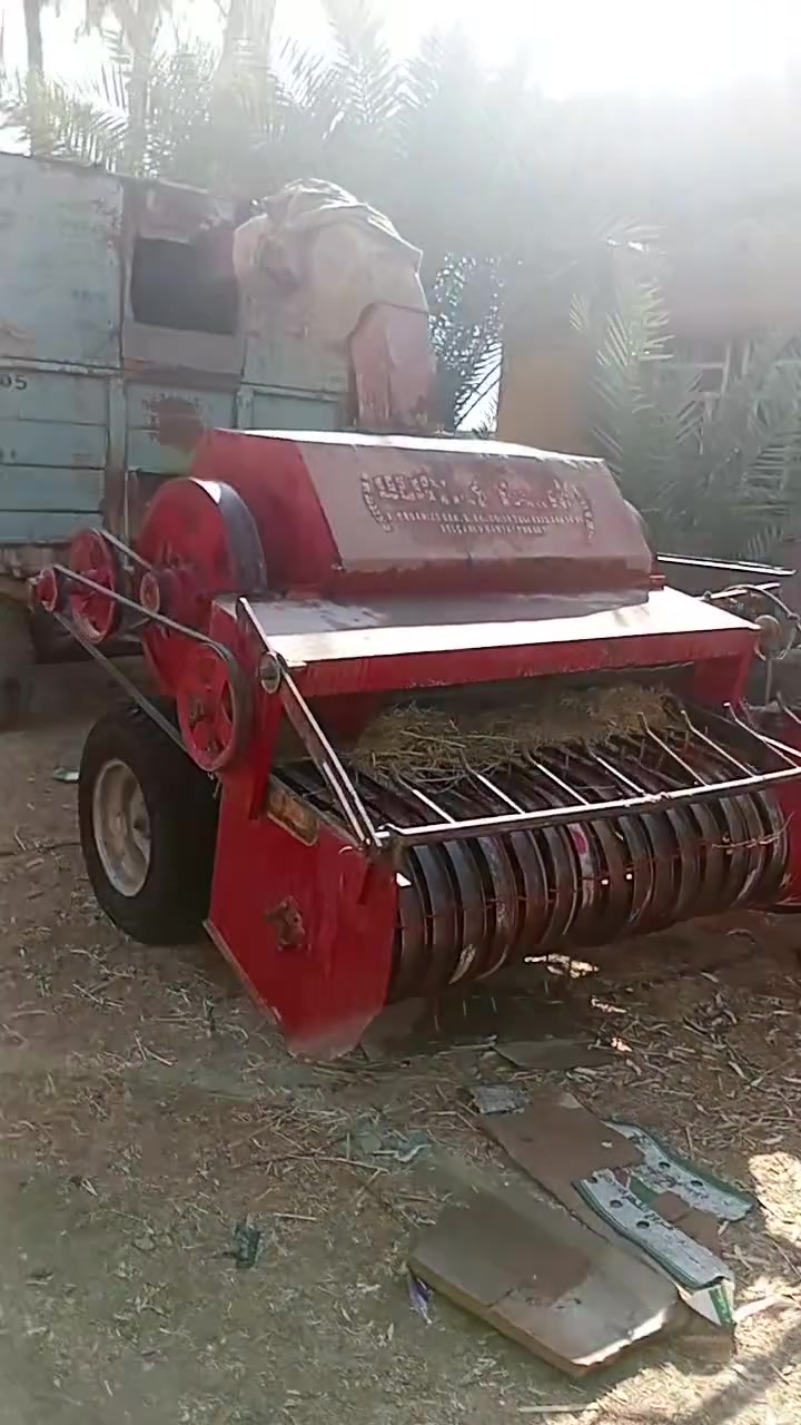 عنتر • زيتور