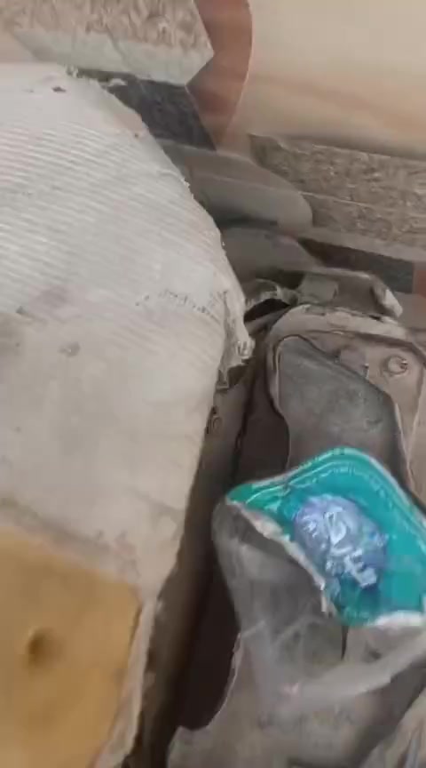 مصرية • شغالة • ناصريه