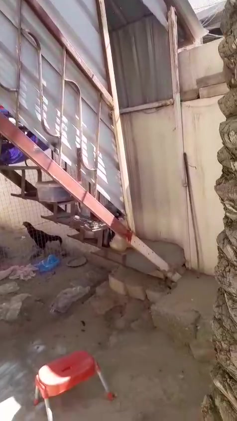 سلام عليكم شباب درج لبيع بيع مستعجل الي يريدة سعرة مناسب بس يجي يكصة أو ياخذة مكاني بغداد الرئاسة مال عبيدي شارع البرتقالة
 ‏‪‪***********‬‬‏
