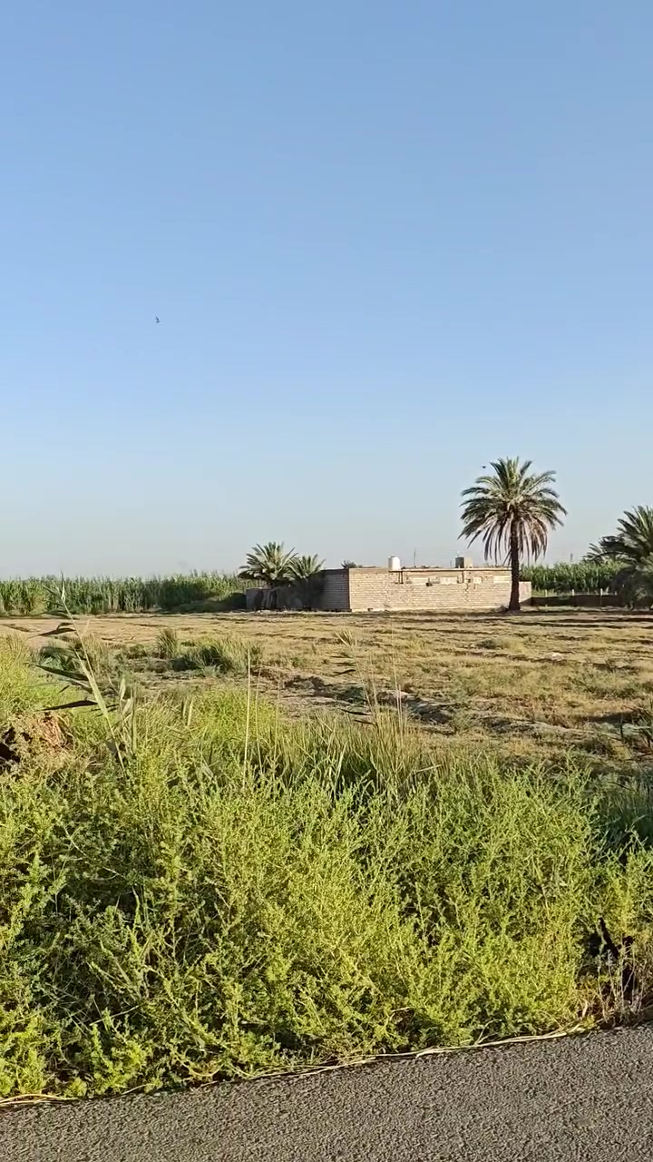 السلام عليكم
يوجد دونمين سند 25
طابو زراعي
مكانه بغداد المدائن منطقة الجعاره قرب مدينة بسمايه
الوجه 40
والنزال125
خدمات كاملة من ماء وكهرباء وتبليط 
صالحات للسكن
الاستفسار أكثر اتصل على ***********
