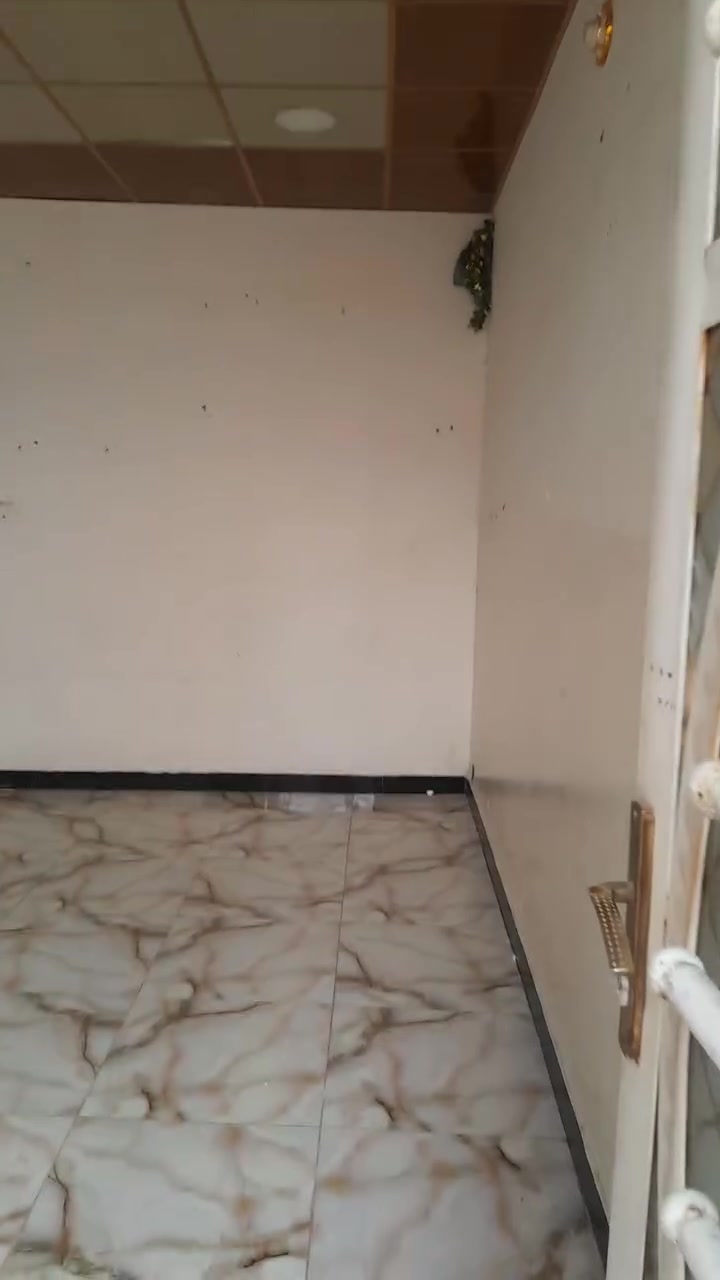 بيت للإيجار • ١٠٠م • شارع ٨٠
