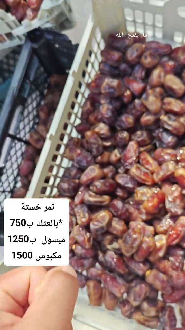 تمر خستة • سعر خاص • بيع بالجملة