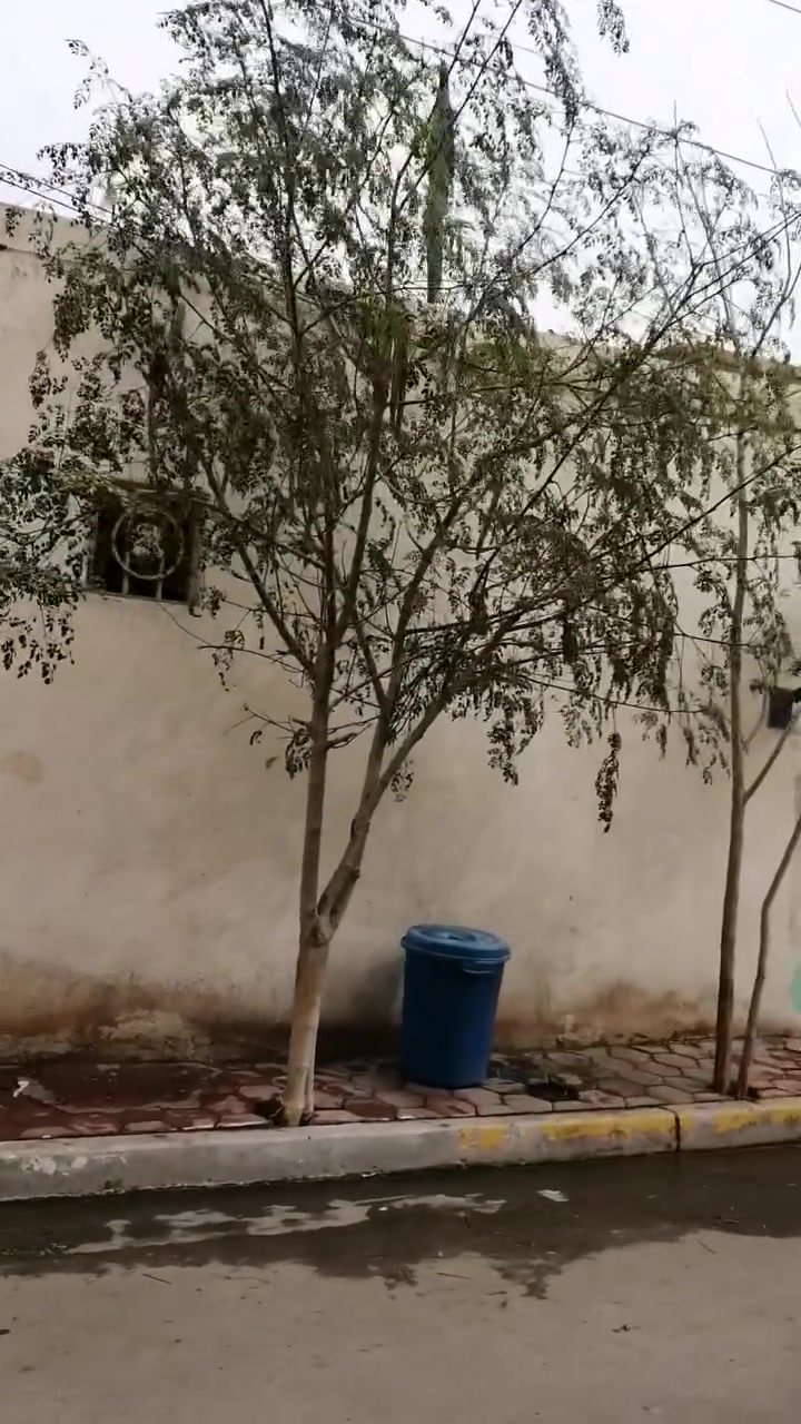 السلام عليكم دار لبيع كربلاء ملحق التعاون ببداية شارع الملعب الجديد فرع صيدلية نيوتن مساحة 150 واجهة 7ونص نزال 20 بي 2غرف نوم صالة استقبال كراج سيارات بناء 2010 معروض للبيع 220لمليون بي مجال ان شاء الله ***********
