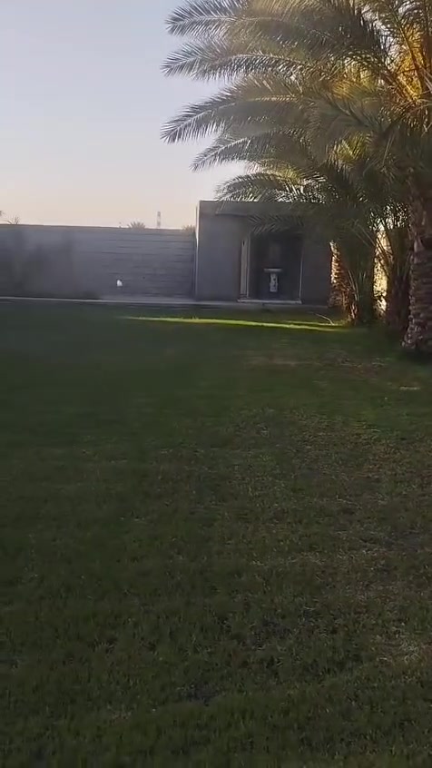 سلام عليكم بيت للبيع بلشاخه شارع ضغط قرب صورت اليسد(صلاح زراعي) مساحه لأرض ١٠٠٠ متر مسيجه داخل سياج كله نخل كله مساحه البيت٢٠٠ متر كامل مكمل كهرباء مولد شارع ومي اساله البيت يتكون من غرفتين وصاله وهول ومطبخ واستقبال وصحيات داخليه  وصحيات خارجيه ‏تواصل‪***********‬‏
