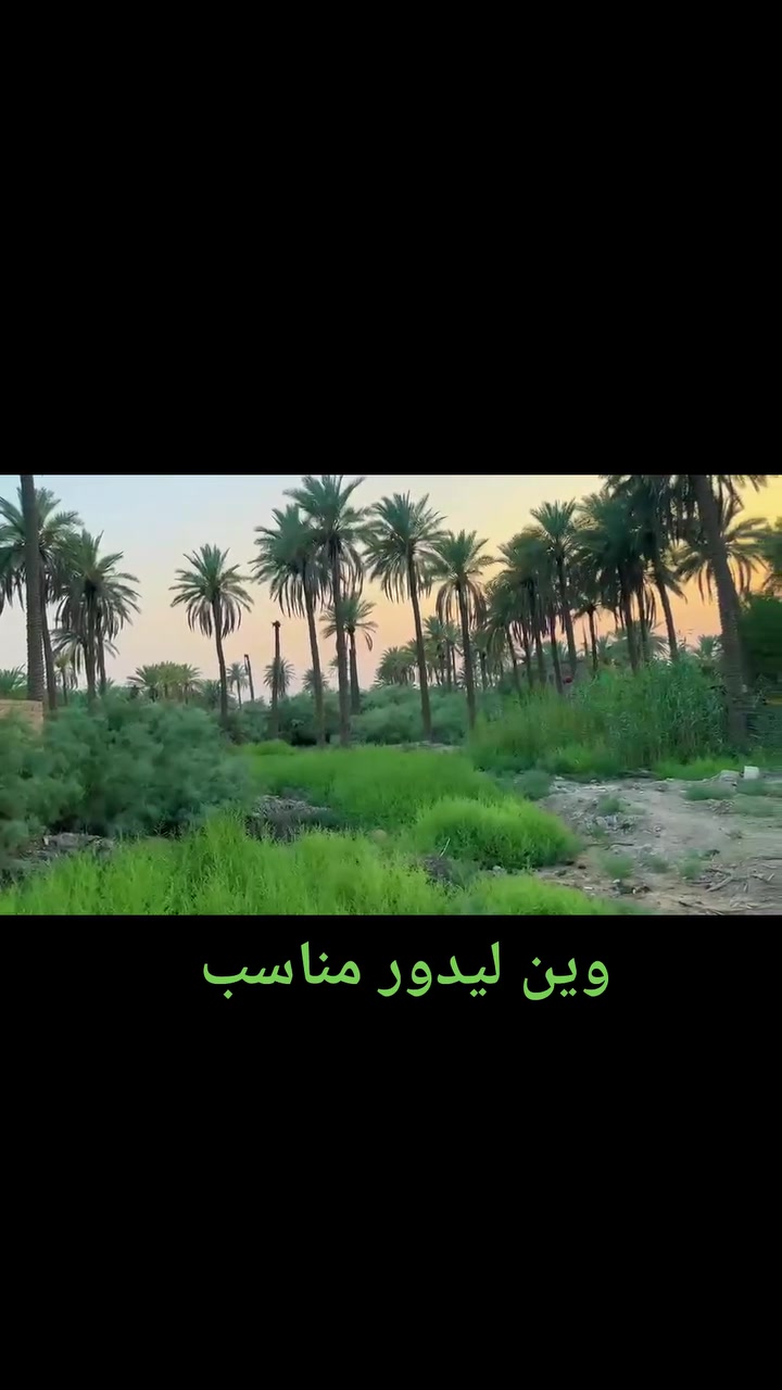 🌾✨#للبيع: أرض زراعية ساحرة في قلب كربلاء🌾
🟢 تفاصيل العرض:
📏 المساحة 5 دونم
📜 نوع الملكية: طابو زراعي (سند 25)
🔄 تحويل الملكية إلى اسم المشتري
💧 الخدمات المتوفرة: ماء اساله، كهرباء،طوارء ماء سقي 
📍 📍 الموقع: كربلاء، طويريج، الخيرات، بالقرب من طريق كربلاء_نجف، #سعر #دونم 40 وقابل للتفاوض 
🌟 الاستخدامات المثالية
🏡 سكن مريح
💼 استثمار مربح
🌳 مزرعة خاصة 
🌿 مزرعة ترفيهية 
🌼 مكان للاستراحة والهدوء
ايضا يتوفر لدينا عقارات اخرى في مختلف مناطق كربلاء
📞 📞 للاستفسار اكثر الاتصال على 
📱 ***********☎️
📲 ***********☎️
