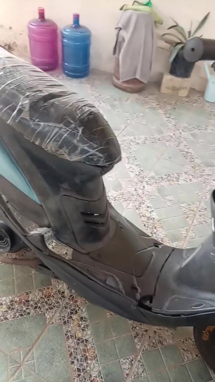 ماكس • سلف • هندل