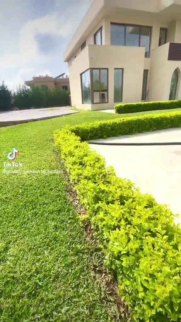 سياج • دورنتا • ليموني