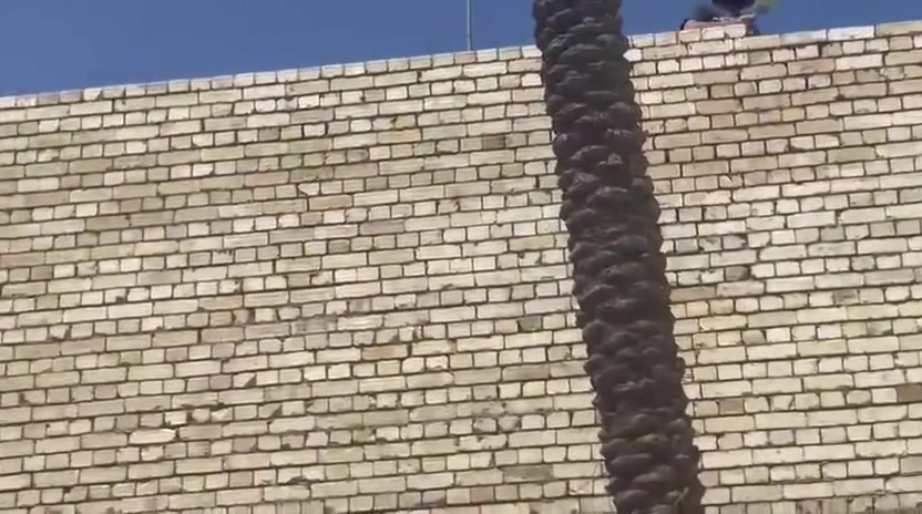 مقاولات عامه خلفه بناء شغل درجة اولى ستلام مهندس متفرغ حاليا نشتغل جميع مناطق بغداد كرخ ورصافه بسعار مناسبة باليومية قطعي على الدبل و التزام بلمواعيد  في بغداد  ترميم وتفليش وجلايه كا شي وتطبيك الجتايكر  للاستفسار ***********
