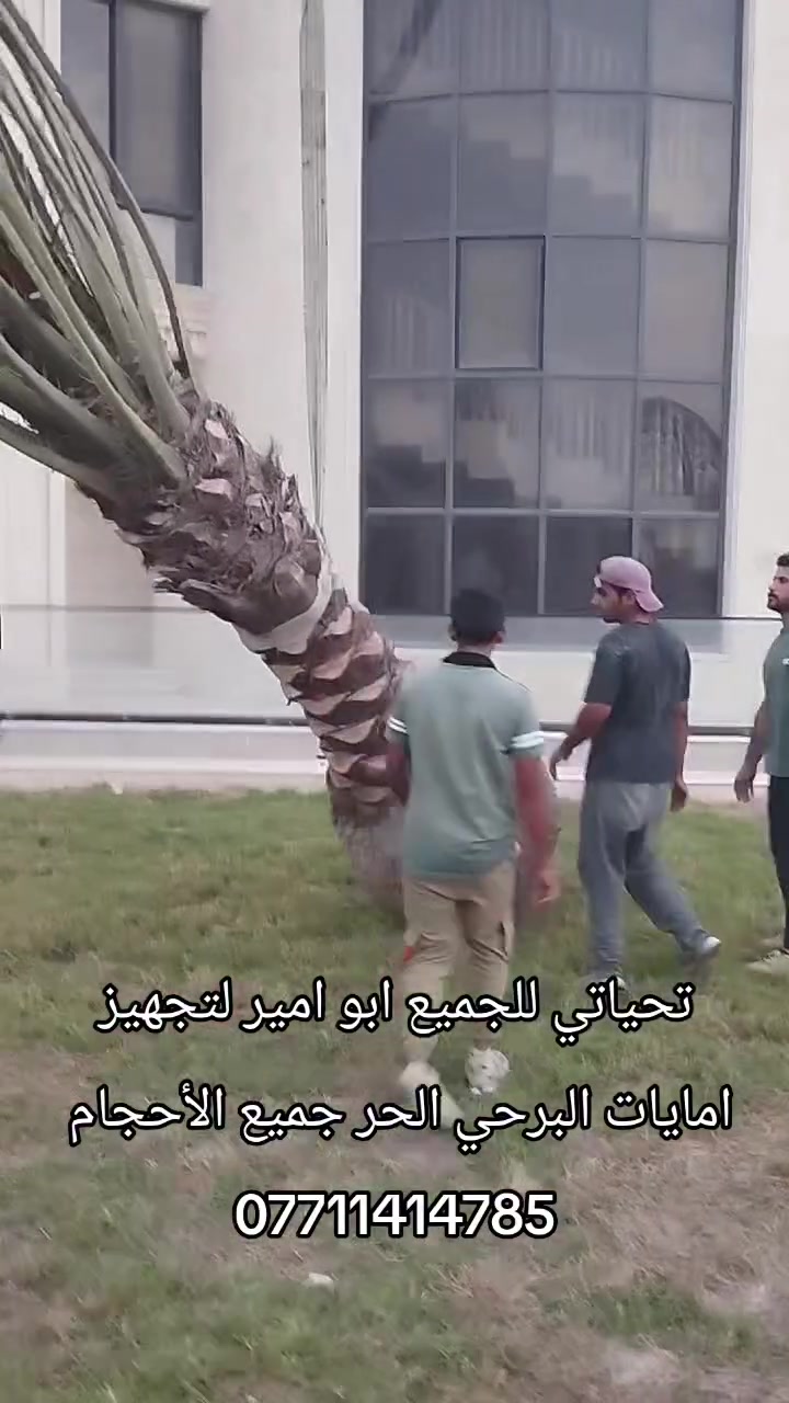 ابي الخصيب • ديكور • للتواصل