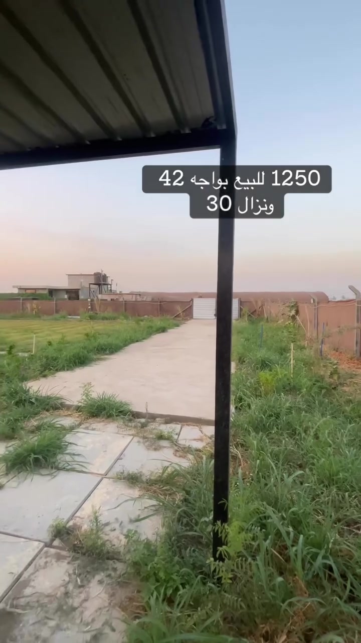 سلام عليكم  نص دونم للبيع كلش حلو ومرتب بواجهة ٤٢ ونزال ٣٠ والنص دونم مسيج بلكام يحتوي علا كرفان وسقيفه وأيضن مشجر بنخل بنوعيات كلش فاخره ويرهم ستثمار ويرهم سكن موقع النص دونم عرب جبور ويبعد  عن سريع دوره يوسفيه ٢٥فقط  التواصل والأستفسار ***********
