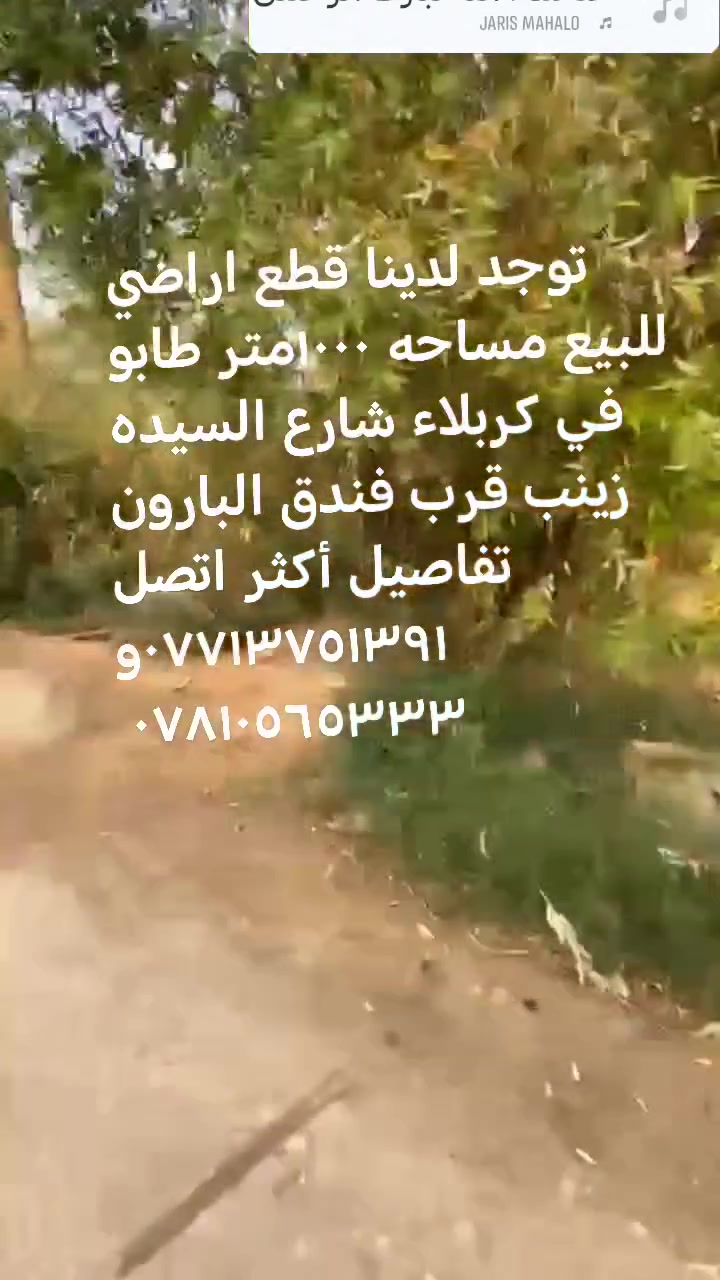 كربلاء • شارع السيدة زينب • ١٠٠٠م