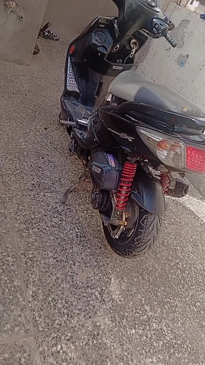 سكنس فحل • نوزول • كوري