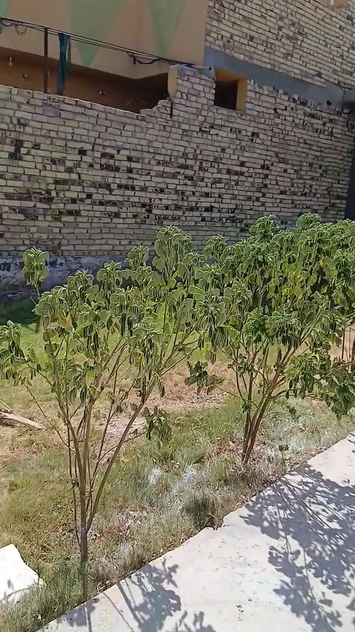 السلام عليكم دار للبيع شارع ٨٠ نجف قرب الساده البو خطه بحي النصر طابو سند ٢٥ مساحه ٢٠٠ متر بناء ١٠٠ مربع غرفه وصاله وكلدور مفتوح ويه المطبخ و١٠٠ حديقه وكراج صحيات داخليه وخارجيه البيت نظيف جدا وجاهز للسكن فارغ تسليم مباشر السعر ٦٥ وبي مجال قليل للستفسار *********** او على الوات ساب 
ملاحظه البيت وياه البردات والكاونتر والسنك سخان بي ماطور ماء بي جاهز للسكن
