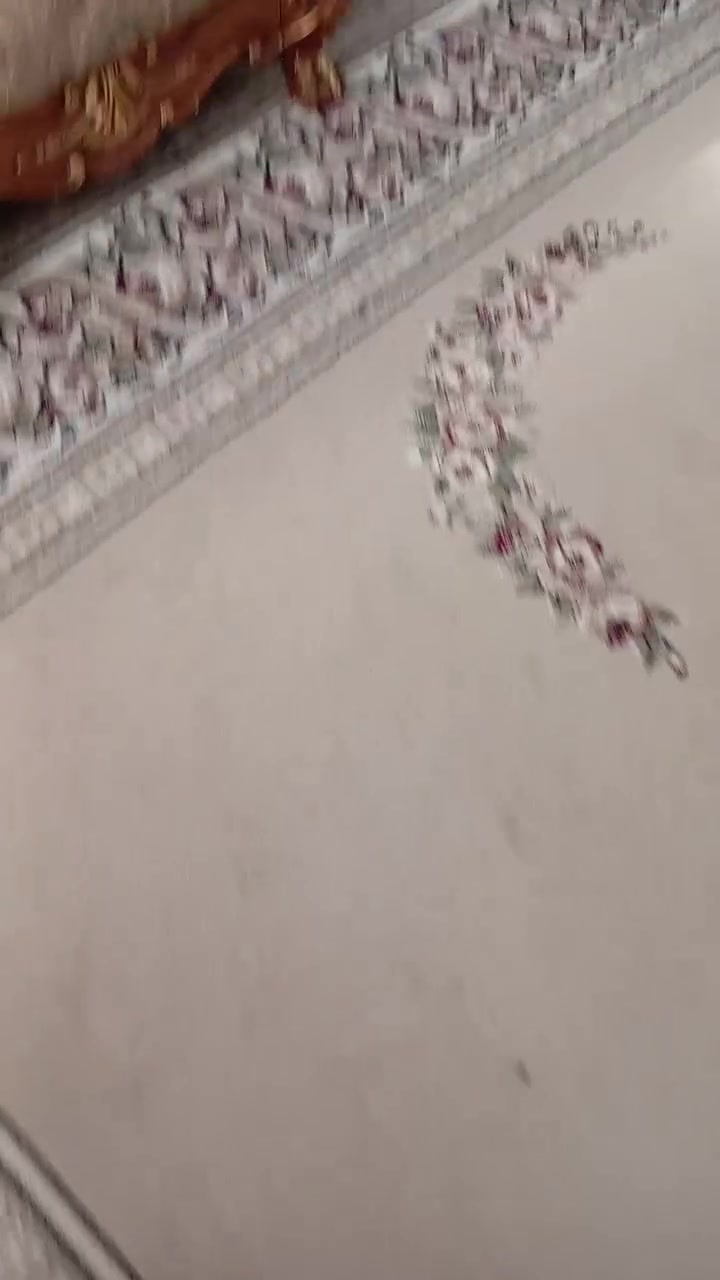 زان • ٣في٦ • الزيتوني