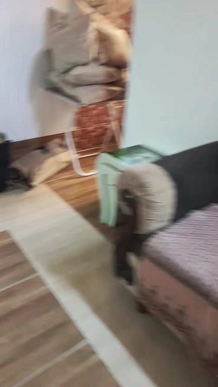 تخم قنفات 5 قطع بدون عيب
سعرها 250 بي مجال لطيبين 

*********** واتساب

***********
