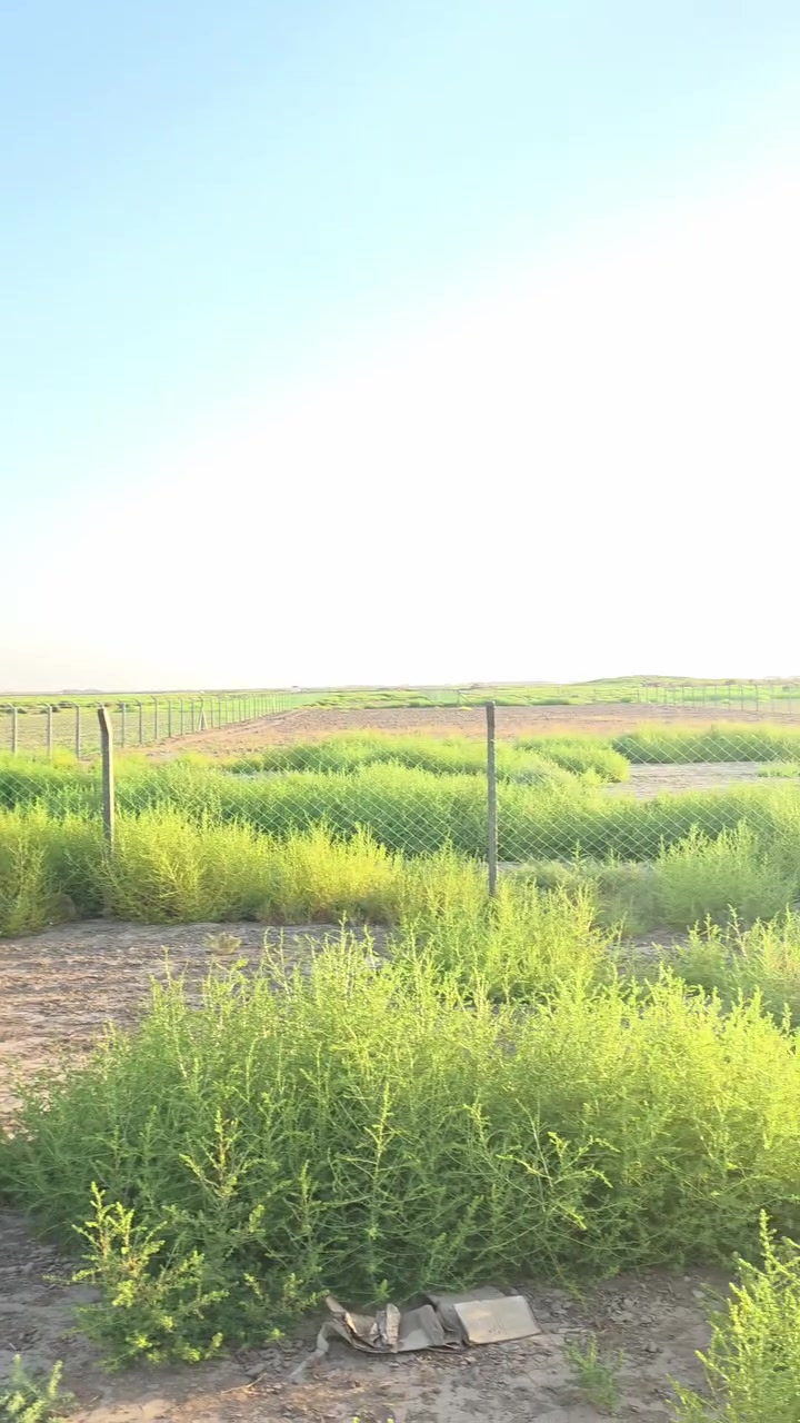 دونمين للبيع طابو زراعي مباشرة على طريق الرحمانية خلف مطار الصويرة وجه الدونم الواحد 40 والنزال 62  وجه الدونمين 80 متر ونزالهن 62 متجاورات.
لمزيد من التفاصيل الاتصال على الرقم ***********
