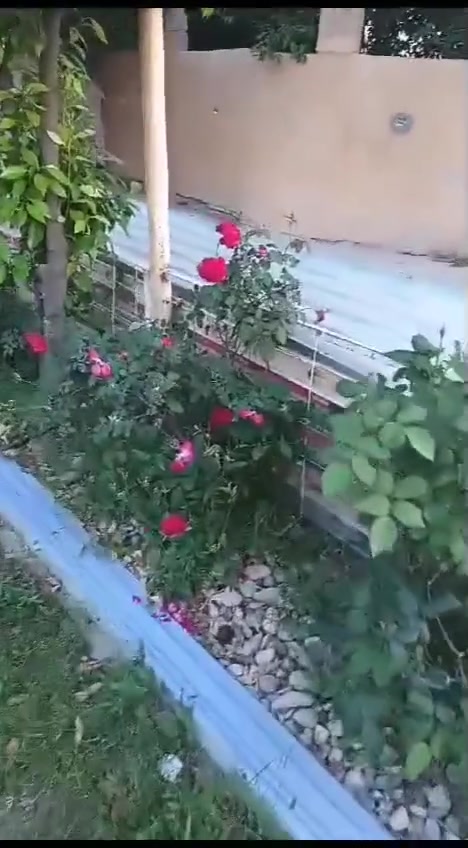للبيع مزرعه واسط الصويره واحد  دونم  واجه ٢٨ متر تبعد عن جسر الصوير مدخل الشجيريه المعهد التقني ٥دقايق تبعد عن نهر دجله ١٥٠ متر تقريبا تبعد عن نهر المبطن ٦متر بيه ابيوت ٢ الاول ٢٠٠ متر والثاني ١١٠ متر سقوفهن سندويج خدمات كامله منضومه اناره ليليه ابلوجكترات منضومه كامرات تصوير ليلي نهاري ماء اساله وماء لسقي البستان كهرباء ٣خطوط بستان حمال حمضيات بانواعها ونخل وتفاح تحتوي عل حديقه ٣٥٠ متر شلال للمعلومات اتصال *********** ابو طيبه
