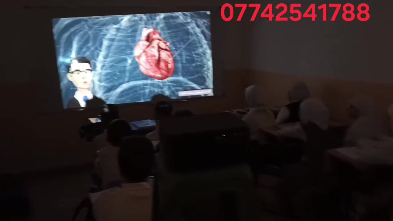 داتا شو • للمدرسين • مع ضمان