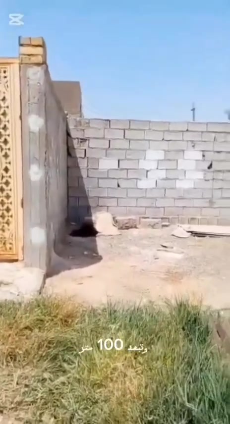 للبيع قطعة ارض مميزة في الكوفة علوة الفحل 

مساحة الارض 200 متر مربع وتبعد 100 متر فقط عن الشارع العام بموقع مناسب للسكن

الارض فيها جميع الخدمات بالكامل بالاضافة الى خط مولدة ذهبي 

السعر 25 مليون وبيها مجال

للاستفسار والتواصل يرجى المراسلة او الاتصال بهٰذه الرقم:***********@
